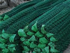 一.筛.滤网系列，乙烯网